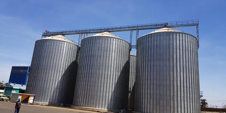 5 Flat bottom silos in Tika (Kenya)